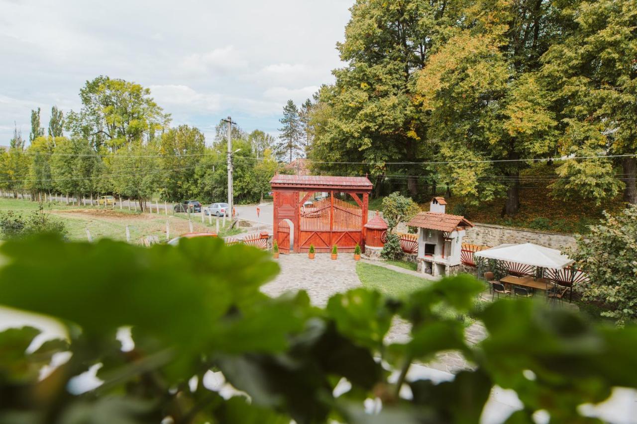 Janka Villa Calugareni  Bagian luar foto